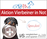 Spendenaktion: Vierbeiner in Not Banner